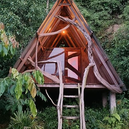 Hotel Jungle Roots Tena Exteriér fotografie