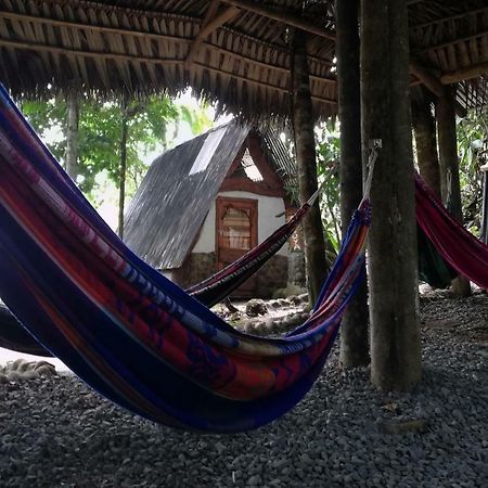 Hotel Jungle Roots Tena Exteriér fotografie