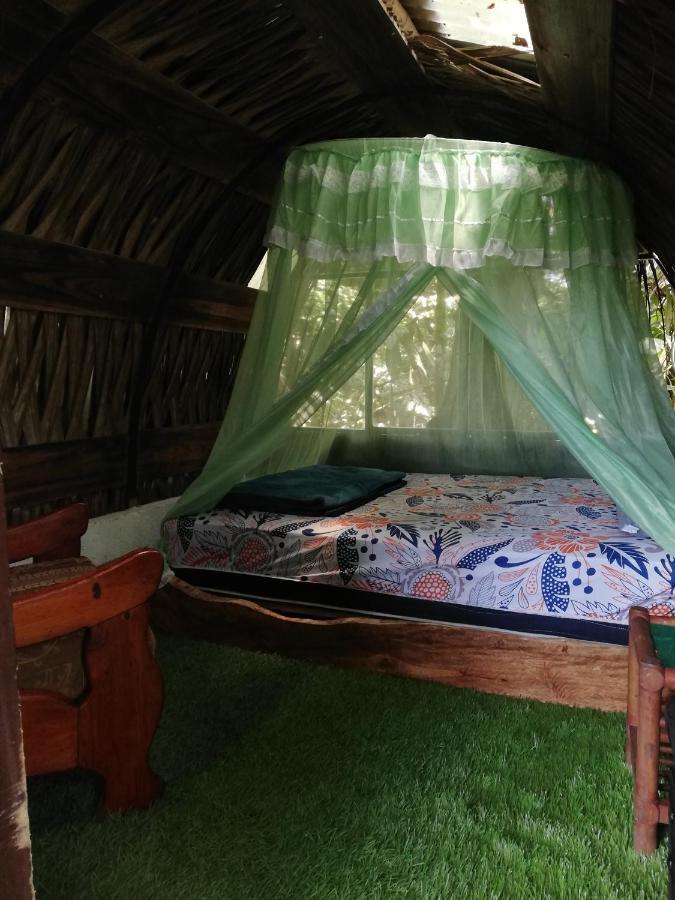 Hotel Jungle Roots Tena Exteriér fotografie