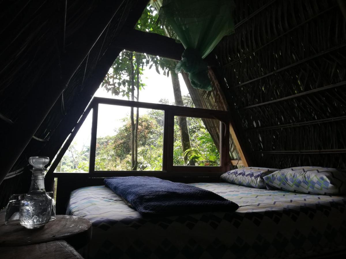 Hotel Jungle Roots Tena Exteriér fotografie
