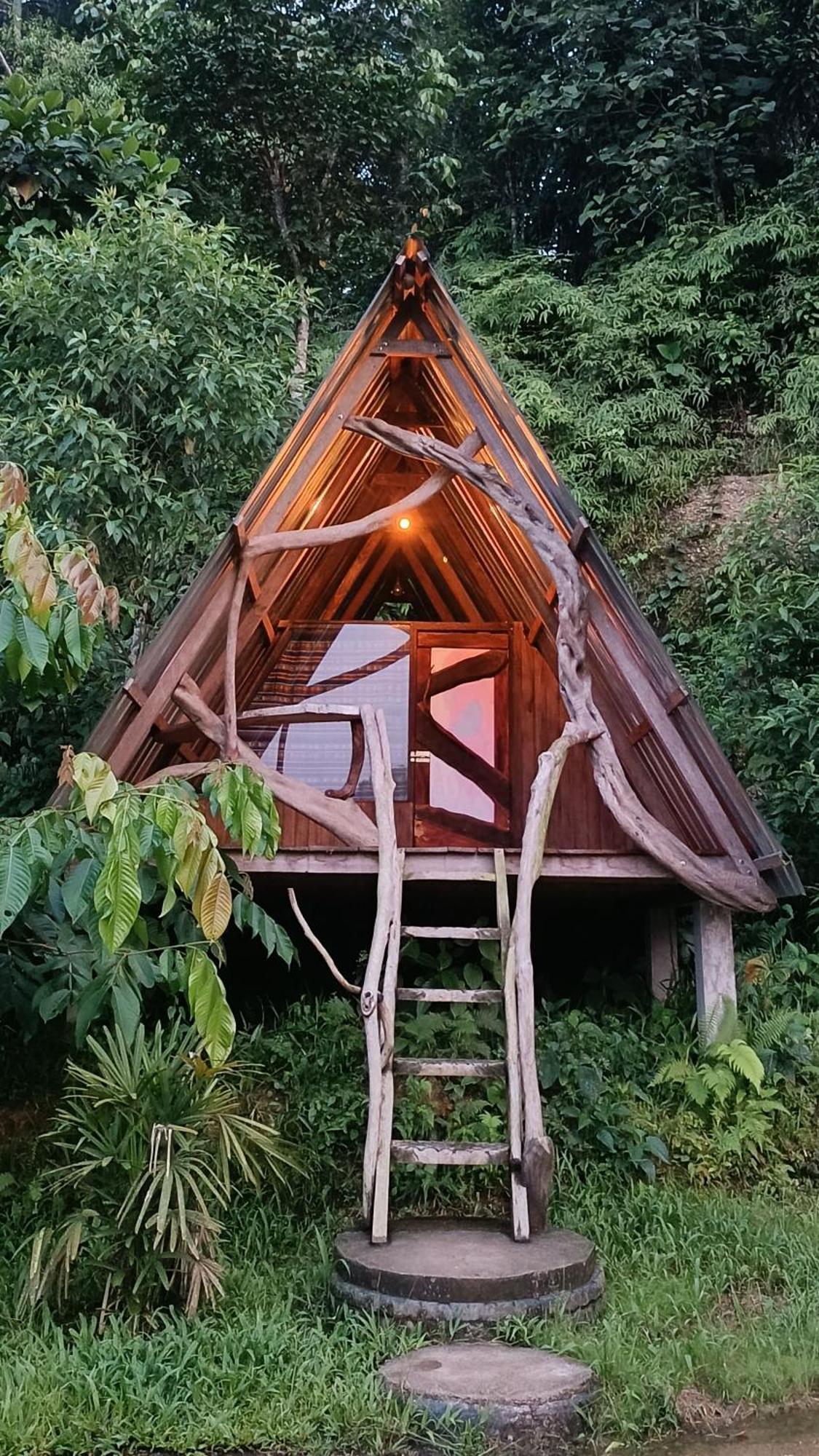 Hotel Jungle Roots Tena Exteriér fotografie