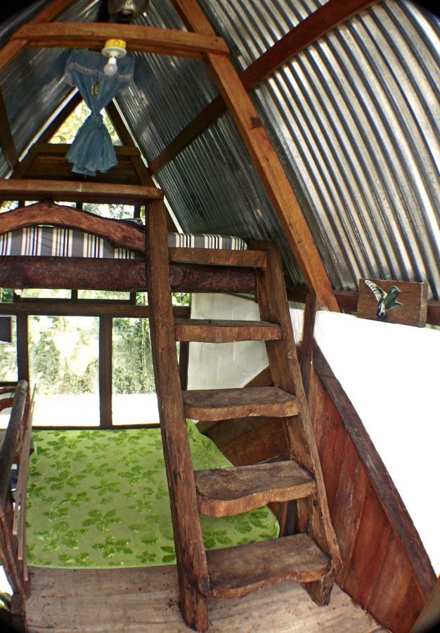 Hotel Jungle Roots Tena Exteriér fotografie