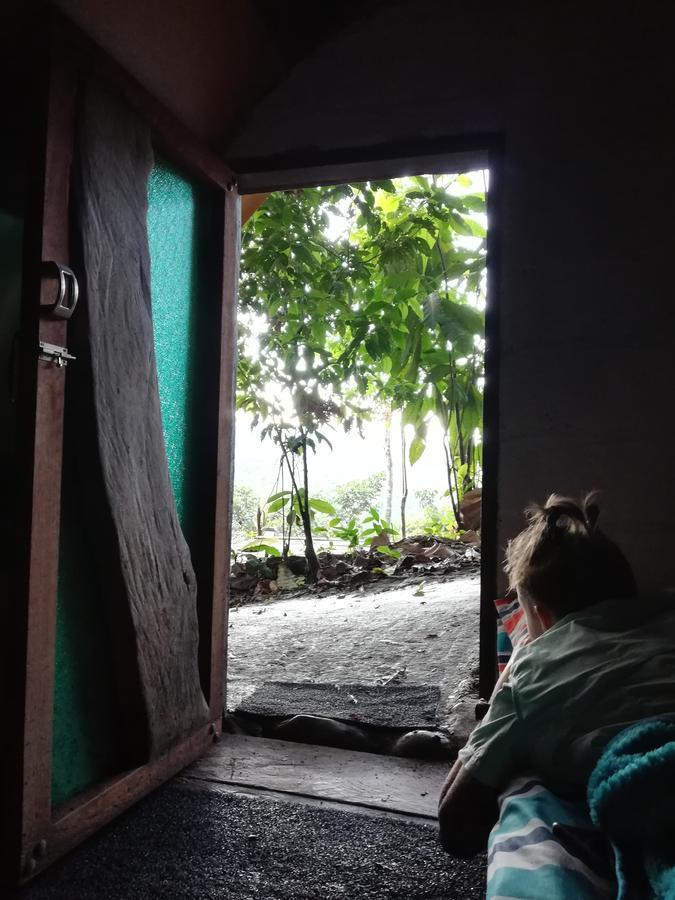 Hotel Jungle Roots Tena Exteriér fotografie