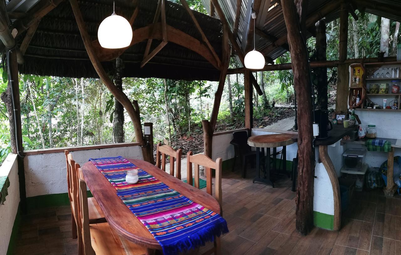 Hotel Jungle Roots Tena Exteriér fotografie