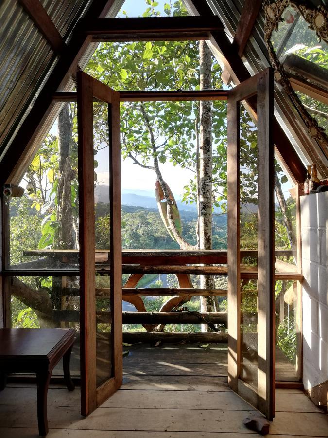 Hotel Jungle Roots Tena Exteriér fotografie