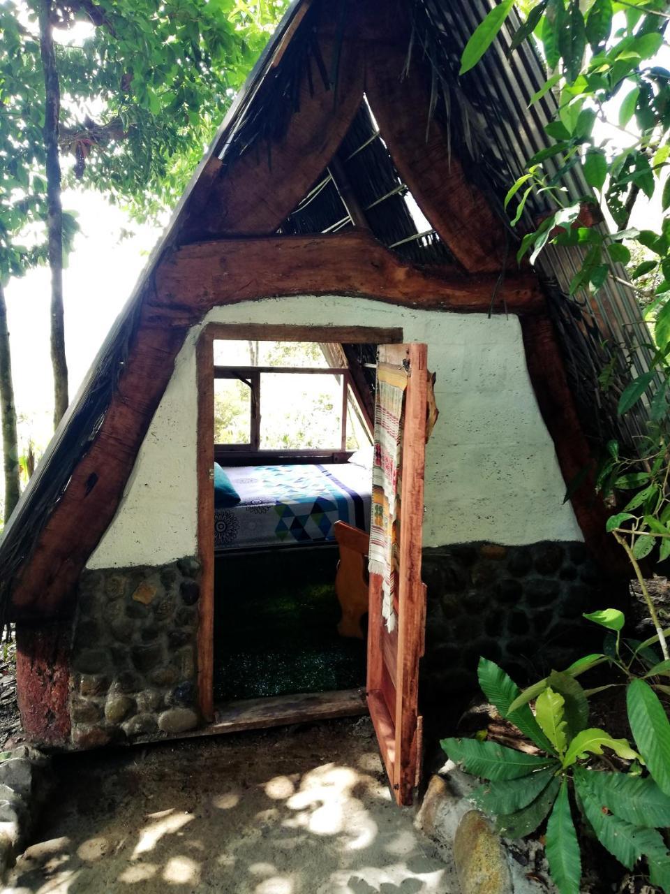 Hotel Jungle Roots Tena Exteriér fotografie