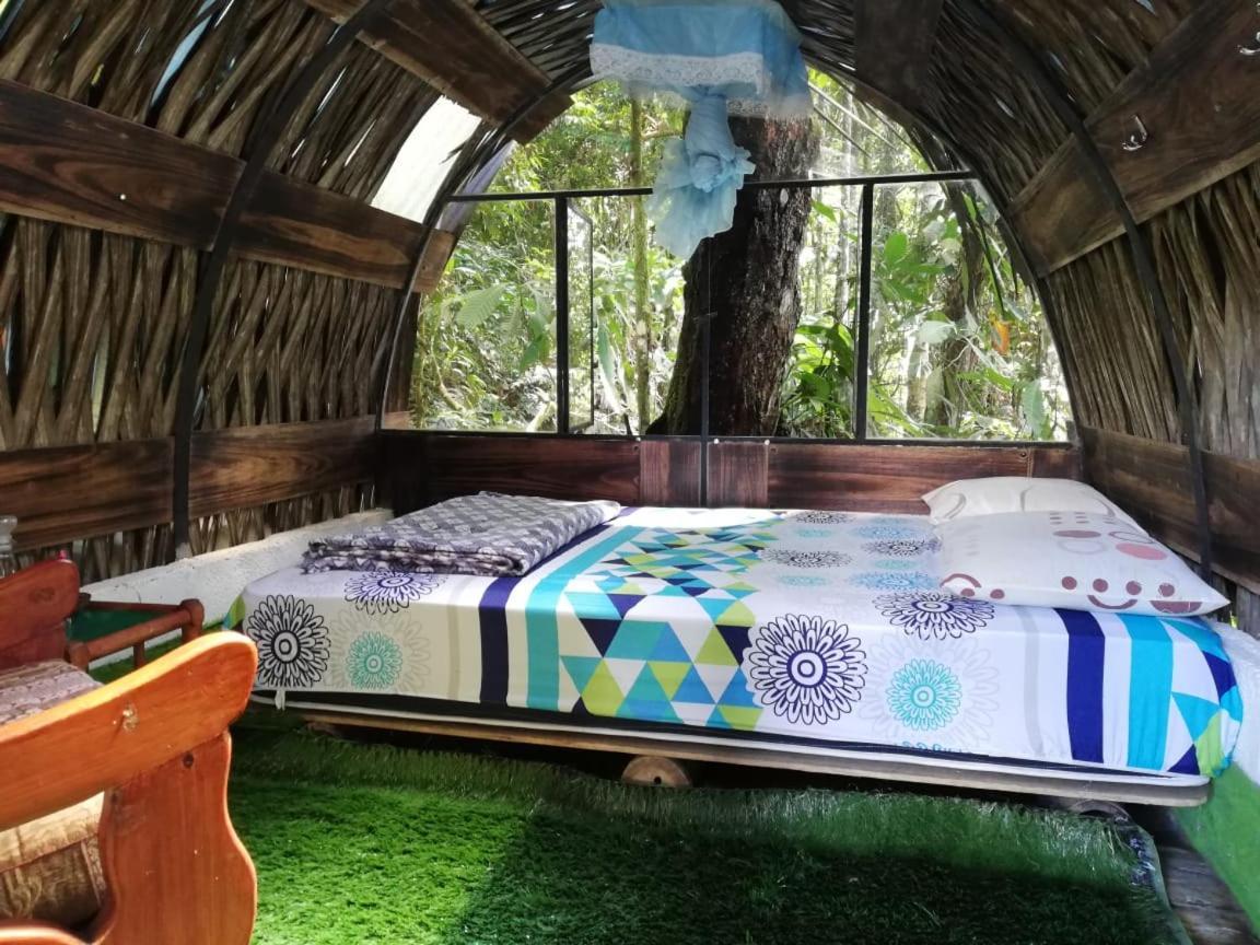 Hotel Jungle Roots Tena Exteriér fotografie