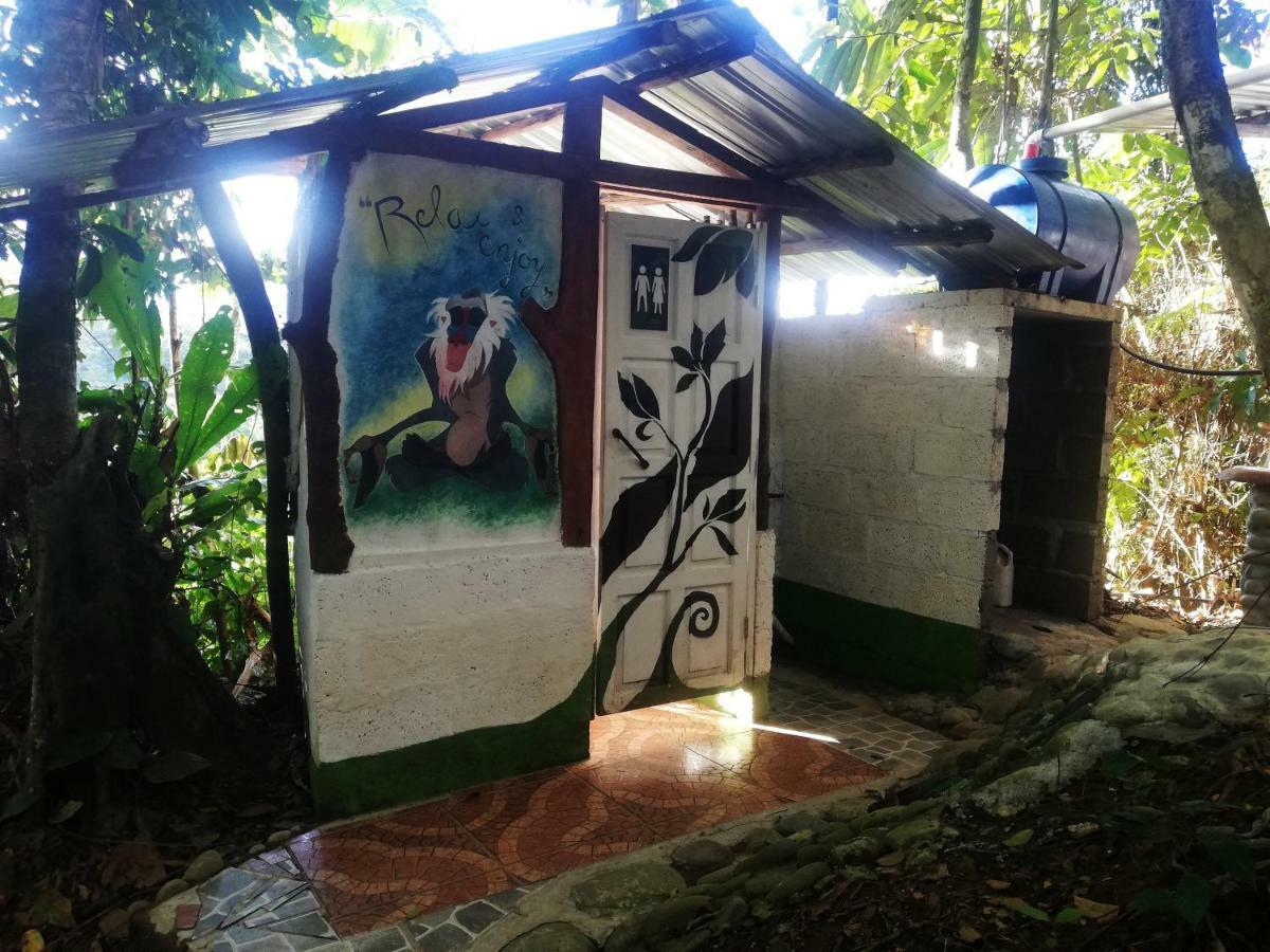 Hotel Jungle Roots Tena Exteriér fotografie