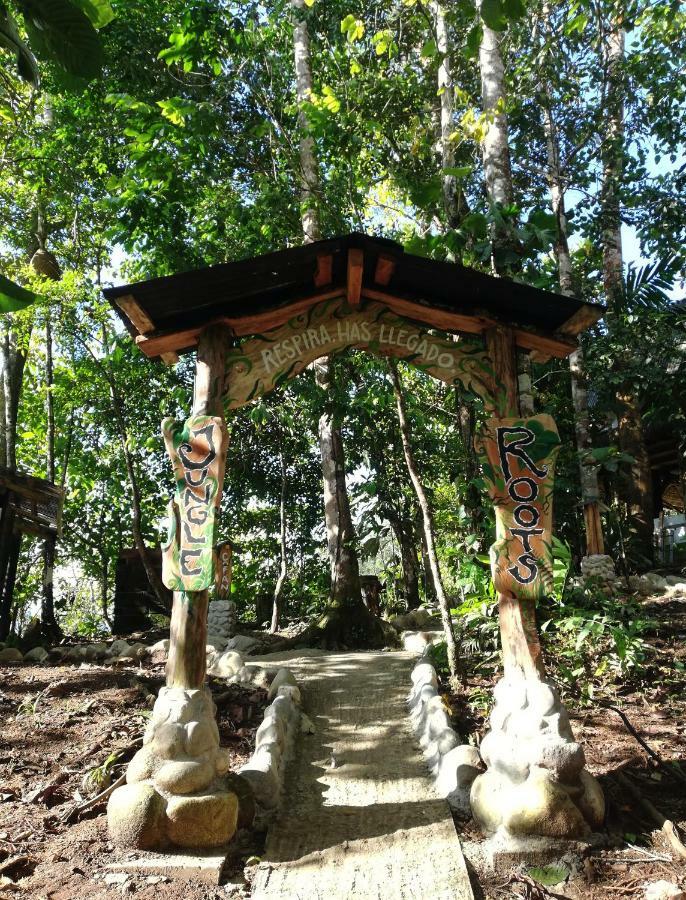 Hotel Jungle Roots Tena Exteriér fotografie