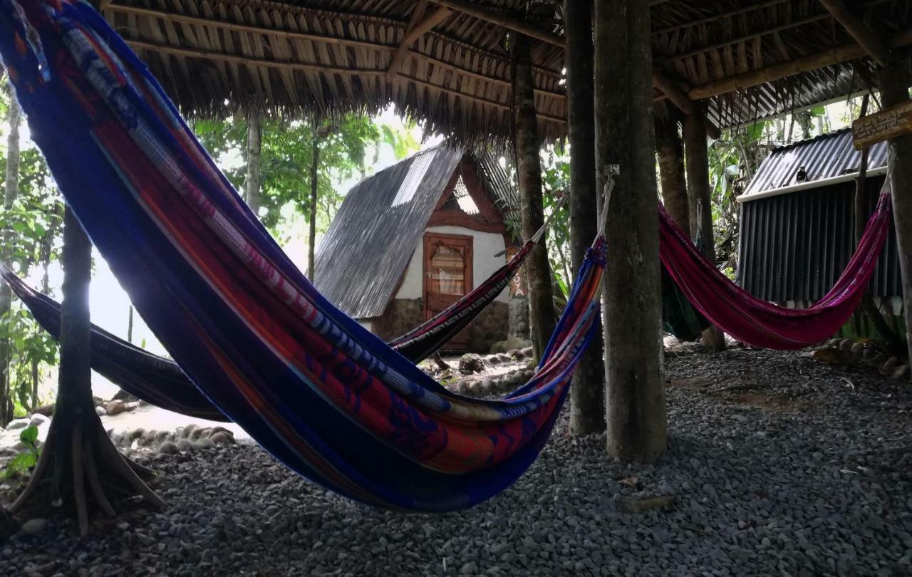 Hotel Jungle Roots Tena Exteriér fotografie