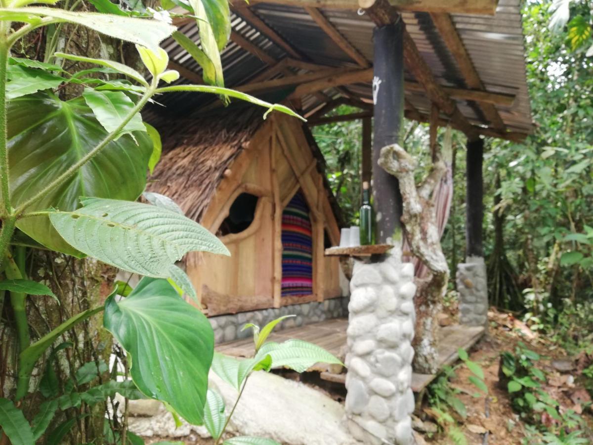 Hotel Jungle Roots Tena Exteriér fotografie