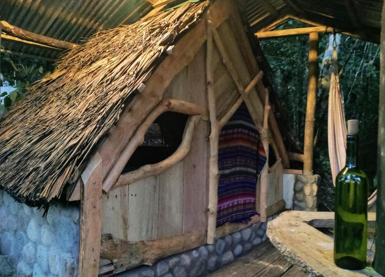 Hotel Jungle Roots Tena Exteriér fotografie